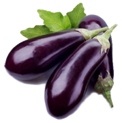 Aubergine - Violet Ray Vegetables