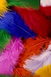 Color Feathers