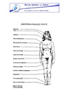 Body Wisdom Charts