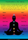 Energy Healing Charts for the Energy Healer.